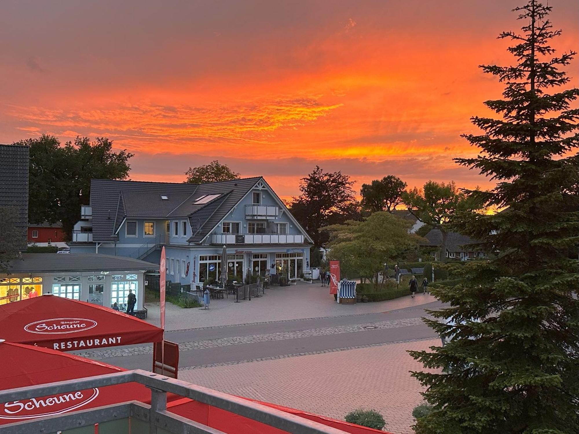 Am Fischmarkt 1 Strandkoenigin Lejlighed Zingst Eksteriør billede